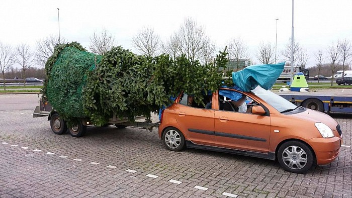 Tip van de politie