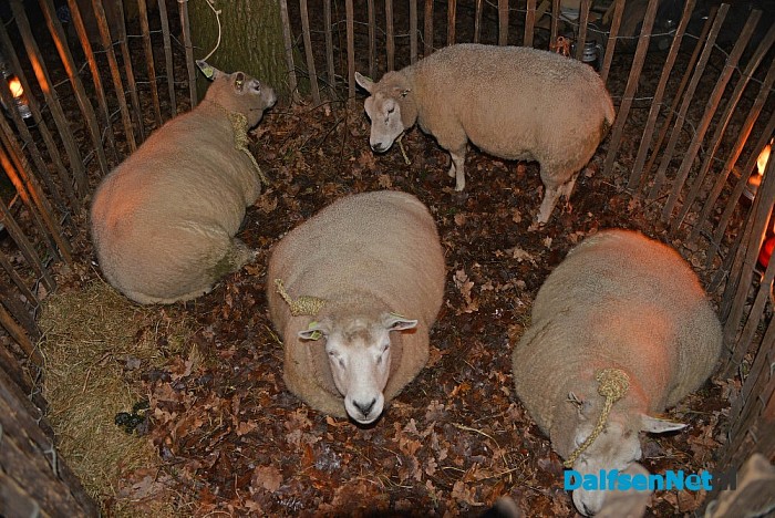 Vilsterse kerstwandeling weer populair: ruim 1.300 deelnemers