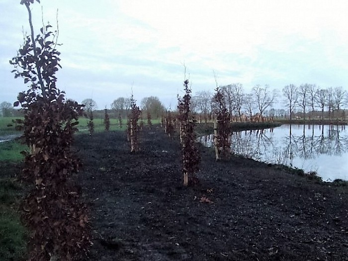 Den Berg, onderhoud, behoud en aanplant - Foto: Wim