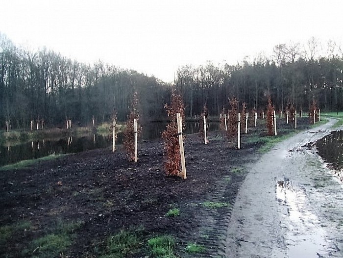 Den Berg, onderhoud, behoud en aanplant - Foto: Wim