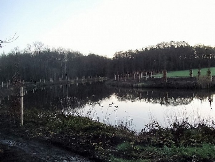 Den Berg, onderhoud, behoud en aanplant - Foto: Wim