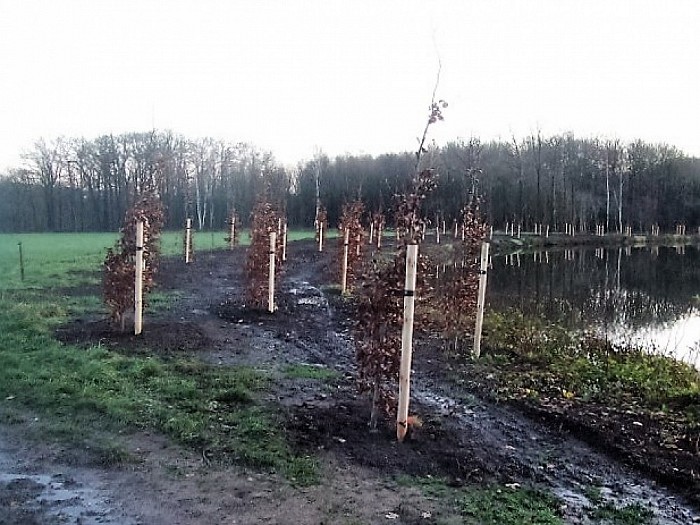 Den Berg, onderhoud, behoud en aanplant - Foto: Wim
