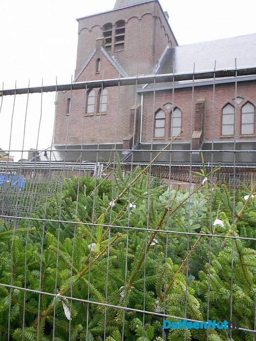 De bomen staan klaar