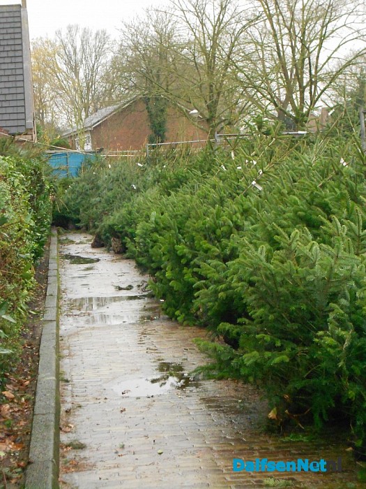 De bomen staan klaar