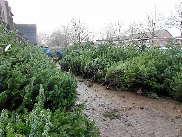 Het kerstgebeuren - Foto: Geert Bistervels