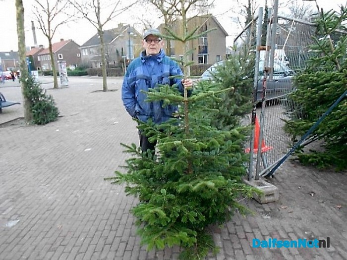 Pingelen bij de kerstbomen