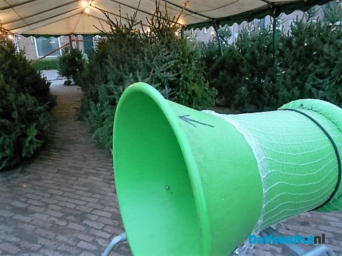 Pingelen bij de kerstbomen