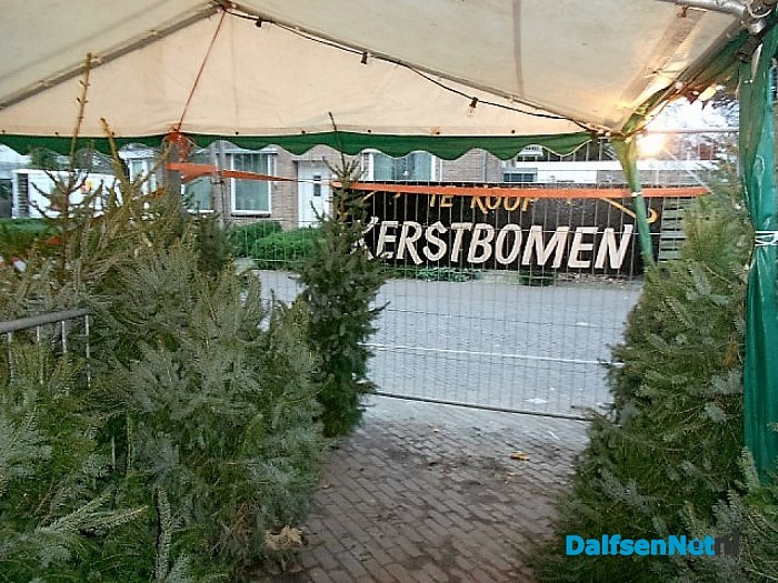 Pingelen bij de kerstbomen