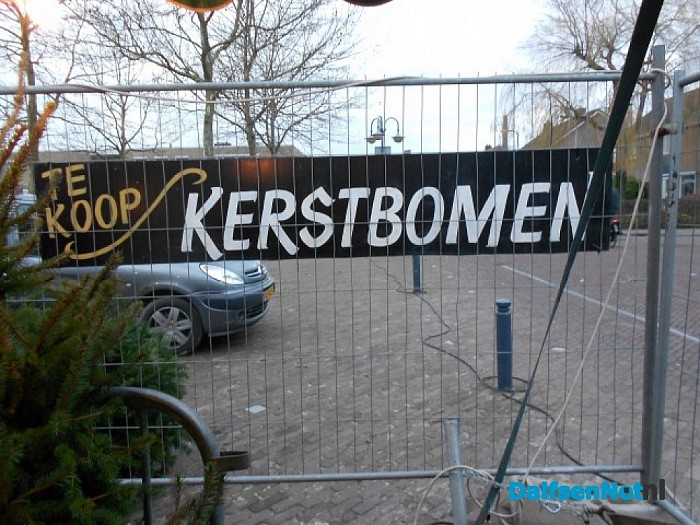 Pingelen bij de kerstbomen