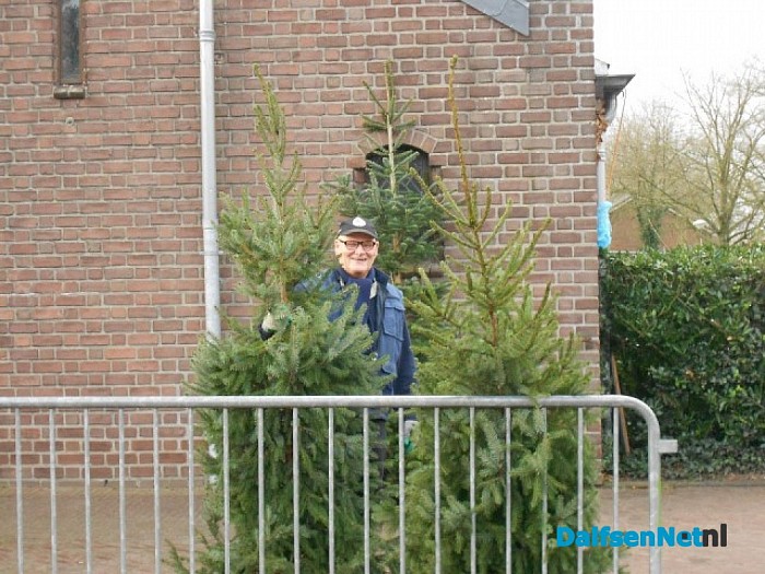 Echt de laatste bomen