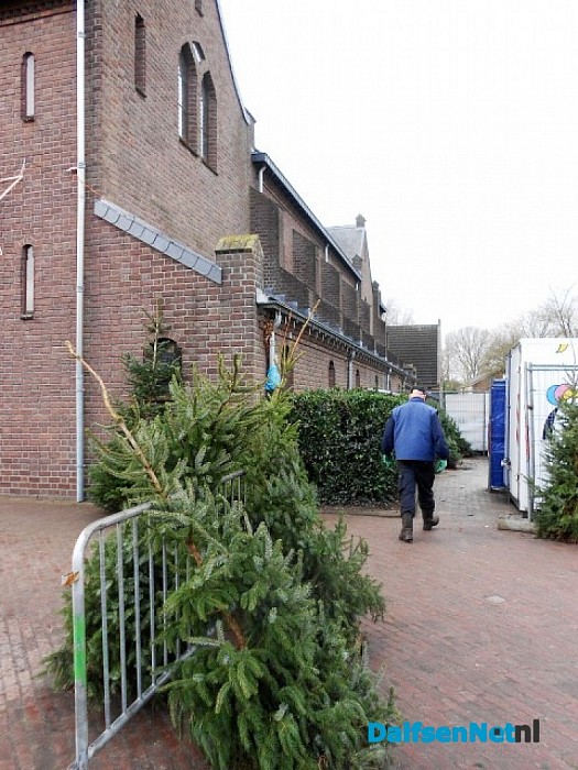 Echt de laatste bomen