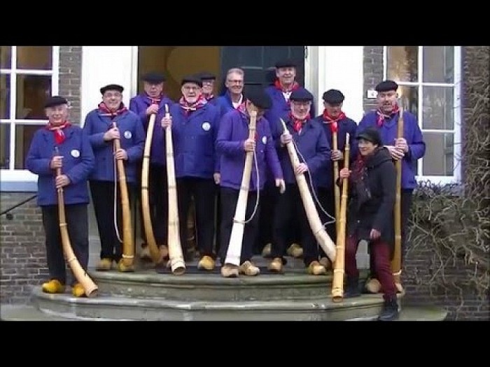 Midwinterhoorn bloazers Dalfsen bij den Berg.(video)