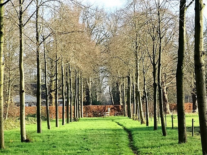 De Leemcule vervolg: tuin en park - Foto: Wim