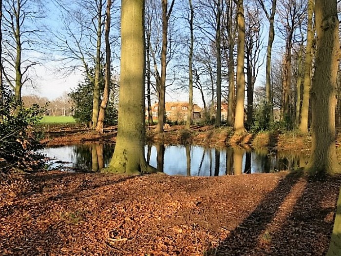 De Leemcule vervolg: tuin en park - Foto: Wim