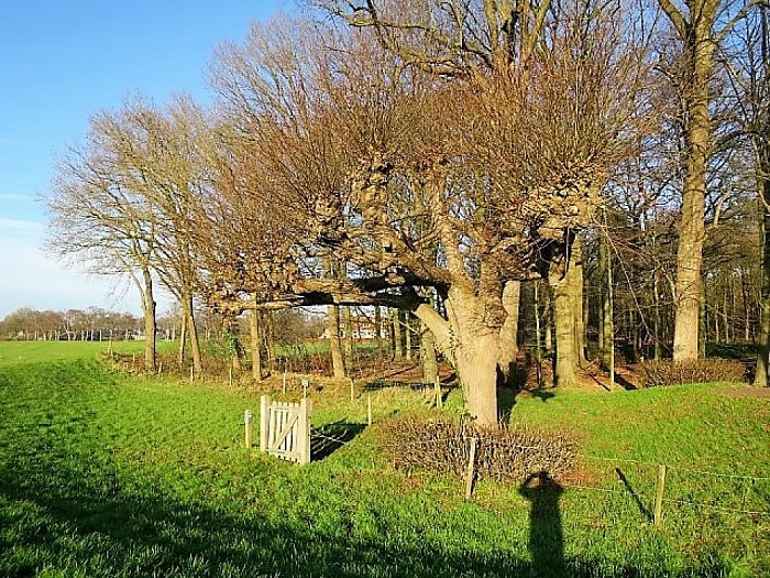 De Leemcule vervolg: tuin en park - Foto: Wim
