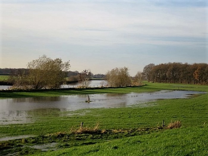 De Leemcule vervolg: tuin en park - Foto: Wim