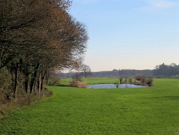 De Leemcule vervolg: tuin en park - Foto: Wim