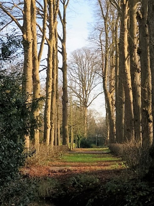De Leemcule vervolg: tuin en park - Foto: Wim