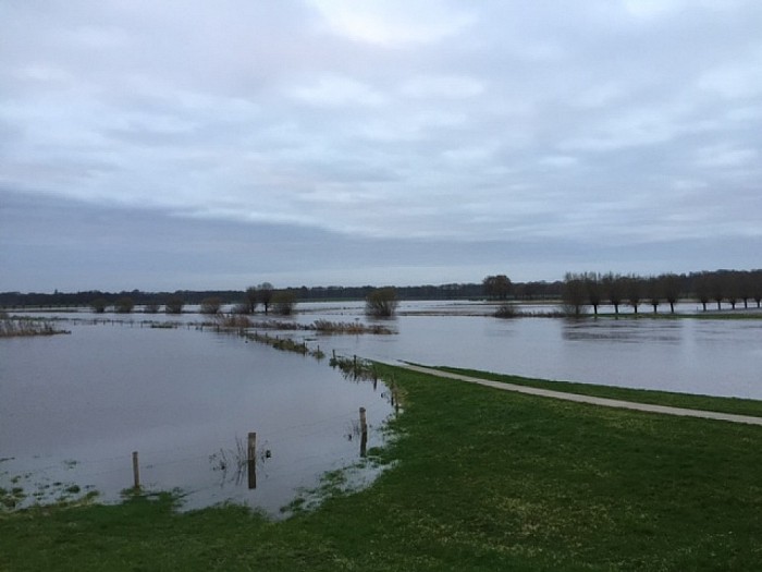 Hoog water - Foto: Eigen geleverde foto