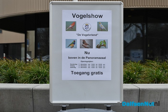 Vanaf vandaag in de Trefkoele + Grote regionale vogelshow - Foto: Johan Bokma