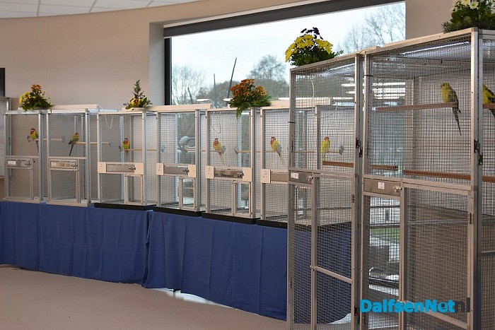 Vanaf vandaag in de Trefkoele + Grote regionale vogelshow - Foto: Johan Bokma