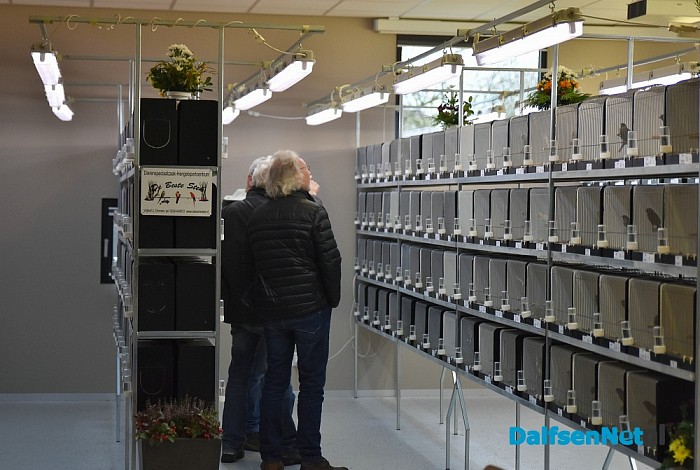 Vanaf vandaag in de Trefkoele + Grote regionale vogelshow - Foto: Johan Bokma