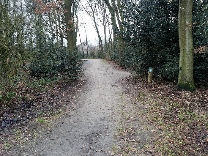 Mogelijk telefoonmast Ankummer Es - Foto: Eigen geleverde foto