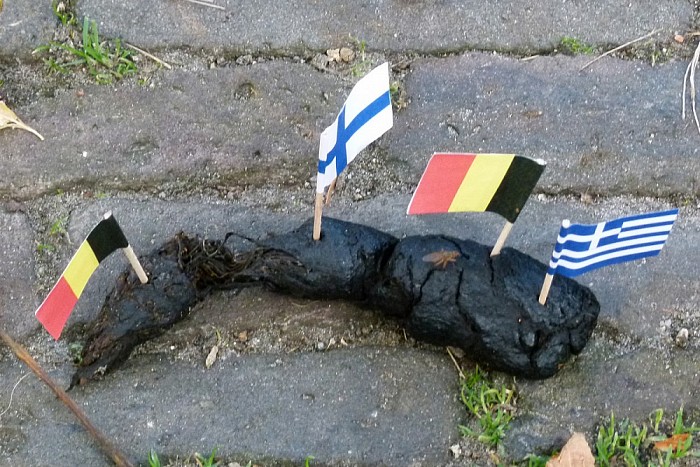 Hondenpoep een plaag! - Foto: Geert Bistervels