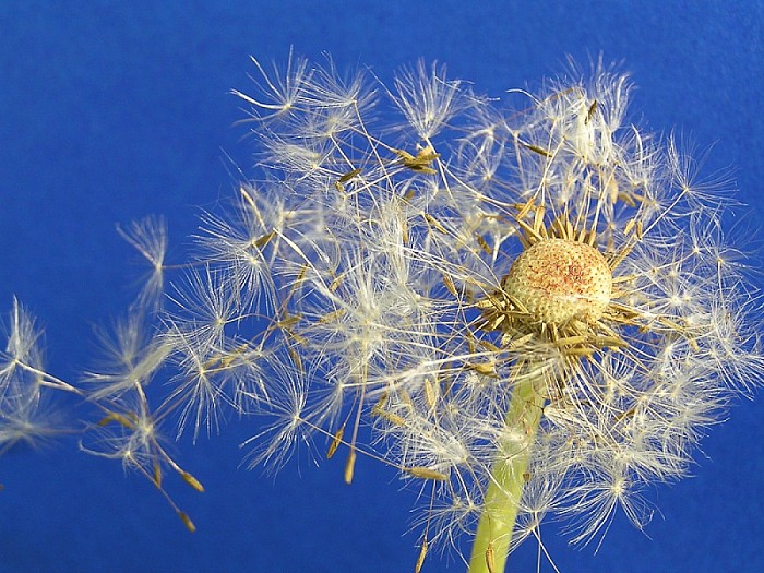 Foto expositie “natuur” - Foto: Eigen geleverde foto
