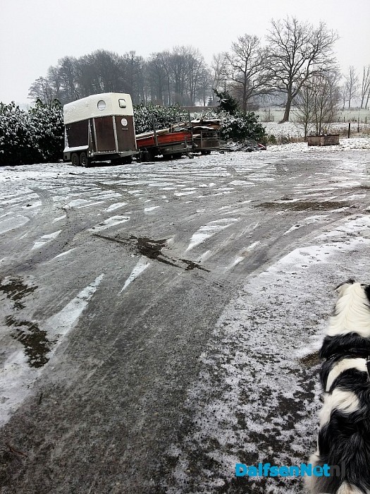 Dalfsenaren verhuisden richting het koude Noorden