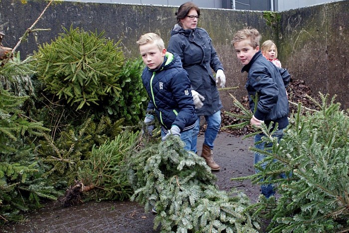 Kerstbomen inleveren - Foto: Paul Scholten