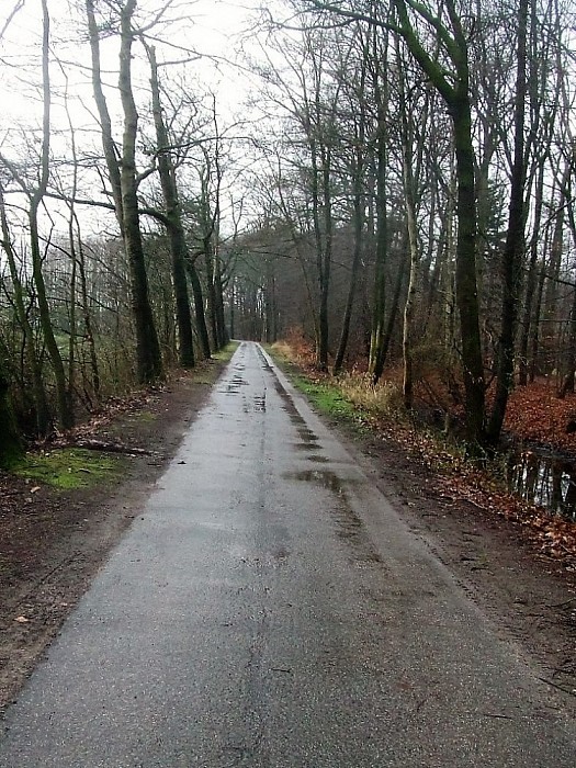 De “snoeiploeg” is weer volop bezig - Foto: Wim