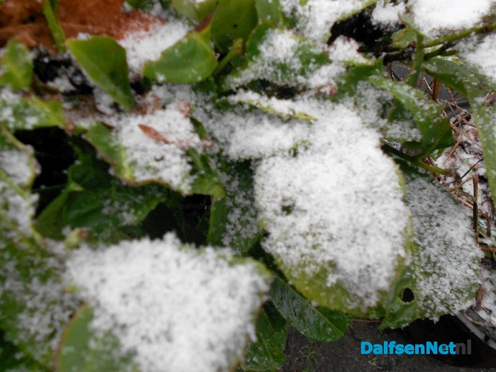 Was dit de winter van 2015 – 2016?