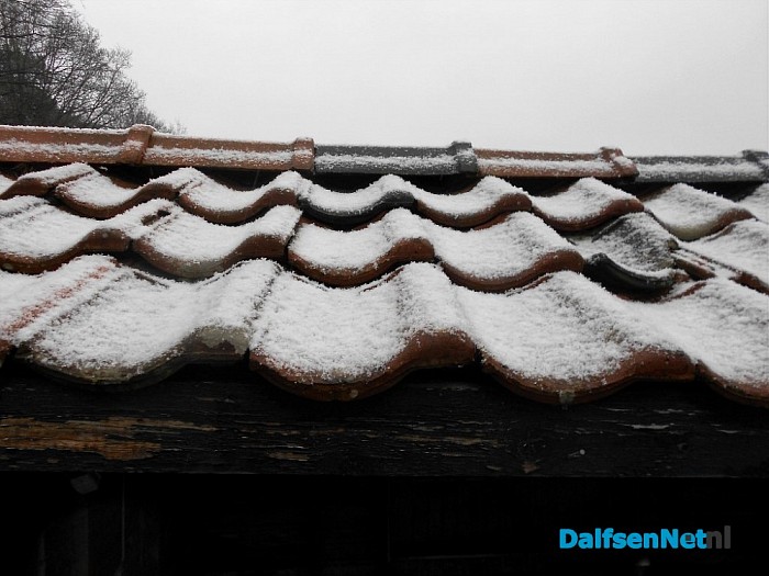 Was dit de winter van 2015 – 2016?