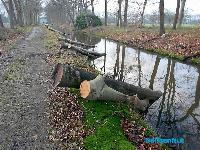 Het wateren (verduurzamen) van hout