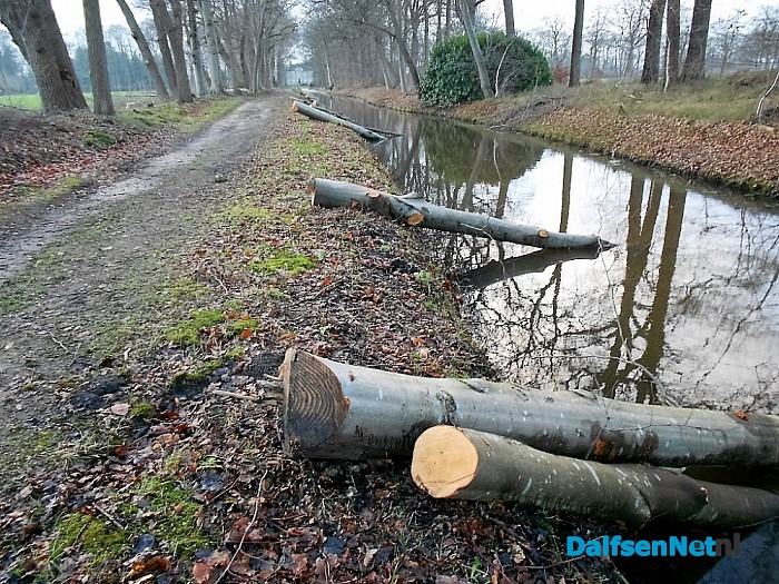 Het wateren (verduurzamen) van hout