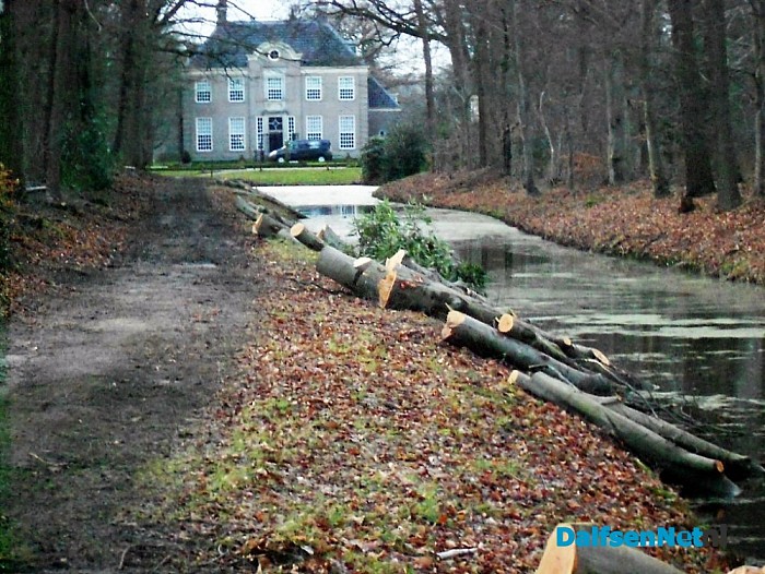Het wateren (verduurzamen) van hout