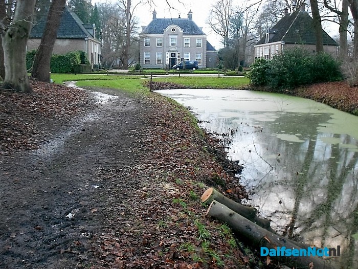 Het wateren (verduurzamen) van hout