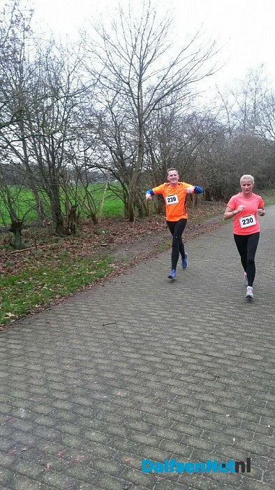 De clubkampioen 2016 van de DC-lopers is bekend!