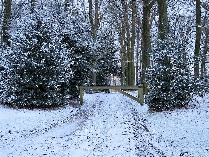 De eerste sneeuwfoto’s kunnen zomaar de laatsten zijn - Foto: Wim