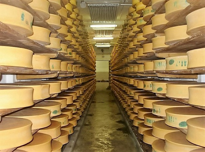 Een Kaasenergiecentrale - Foto: Eigen geleverde foto