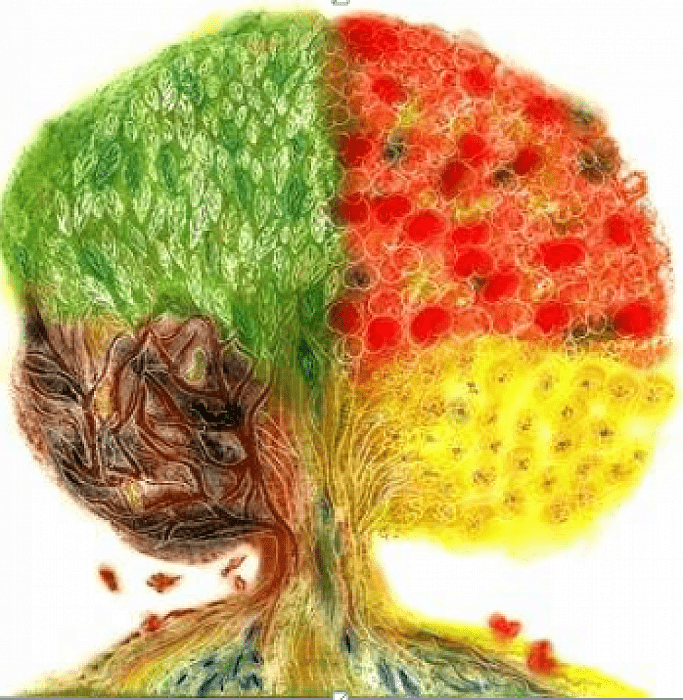 Natuurlijk tekenen, teken de natuur
