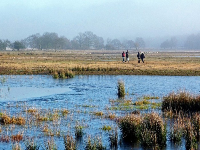 Foto expositie “natuur” - Foto: Eigen geleverde foto