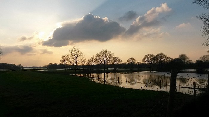 Nog een hoogwater foto - Foto: Eigen geleverde foto