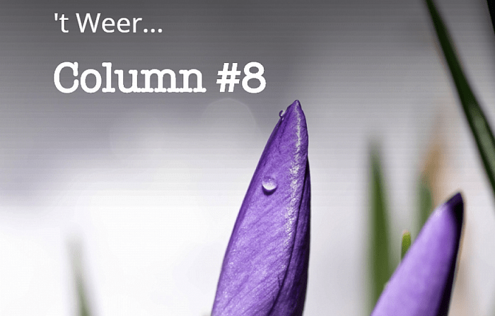 Eerste Groen Gebogen column - Foto: Thomas Klomp