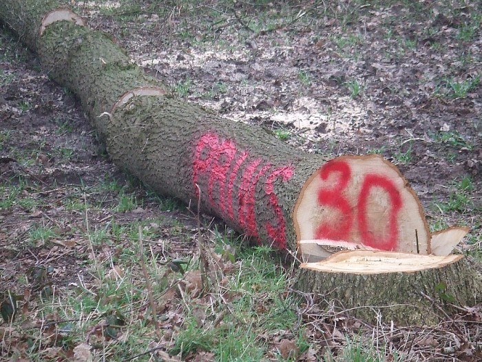 Zagen, zagen van wie is dat gemerkt hout aan de Millingersteeg - Foto: Wim