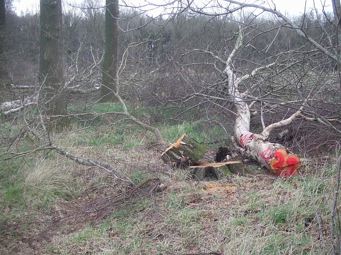 Zagen, zagen van wie is dat gemerkt hout aan de Millingersteeg - Foto: Wim