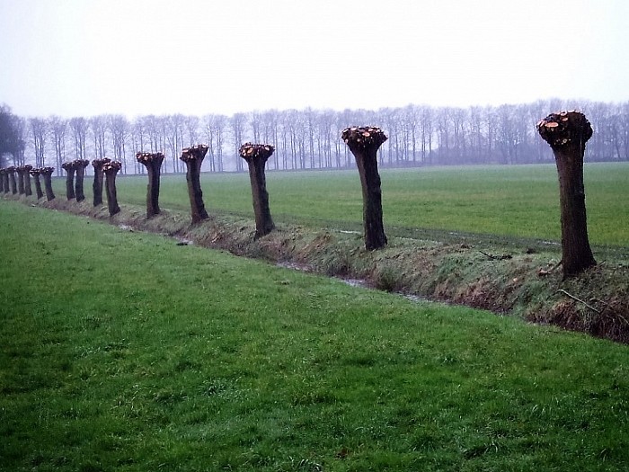Het wachten is op de versnipperaar - Foto: Wim