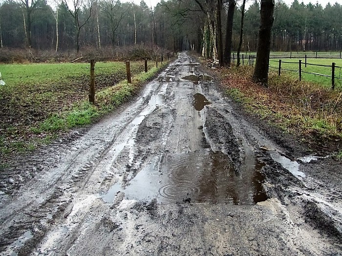 Heeft de natuur nu nog niet genoeg water? - Foto: Wim