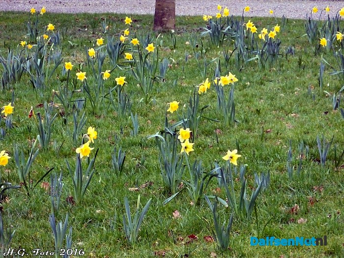 Voorjaar in Vilsteren. - Foto: H.G. Foto